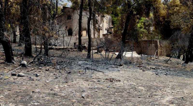 Έλεγχοι από πραγματογνώμονες: Τι πρέπει να ξέρουν οι ενδιαφερόμενοι