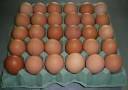 Συναγερμός για τα 10,7 εκατομμύρια μολυσμένα αυγά