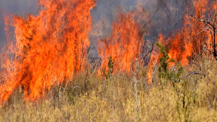 ΓΓΠΠ: Πολύ υψηλός κίνδυνος πυρκαγιάς και σήμερα, για πολλές περιοχές της χώρας