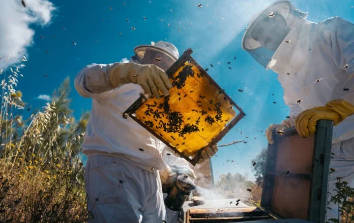 Συρρικνώνεται η ελληνική μελισσοκομία