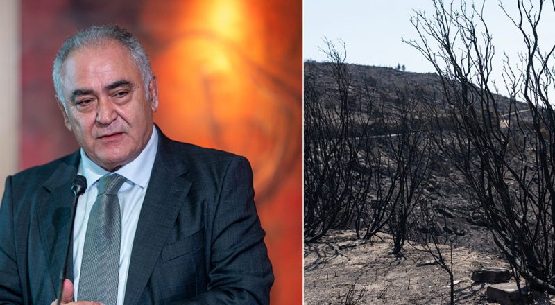 Γ. Χατζηθεοδοσίου: Το Ε.Ε.Α. θα σταθεί δίπλα στις πληγείσες επιχειρήσεις
